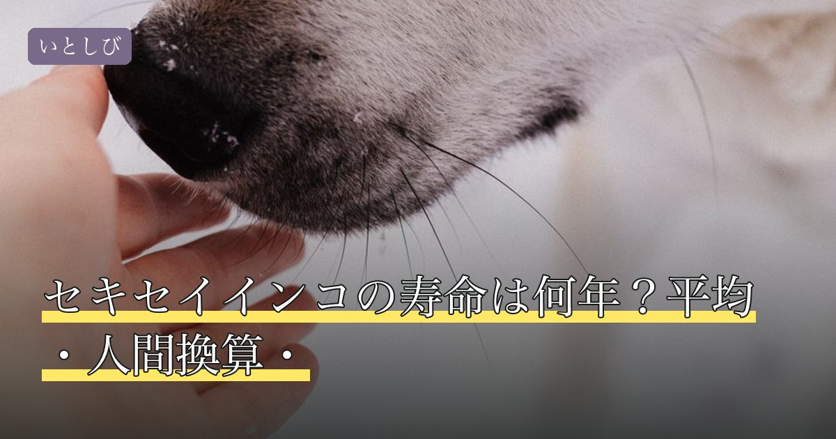 セキセイインコの寿命は何年？平均・人間換算・