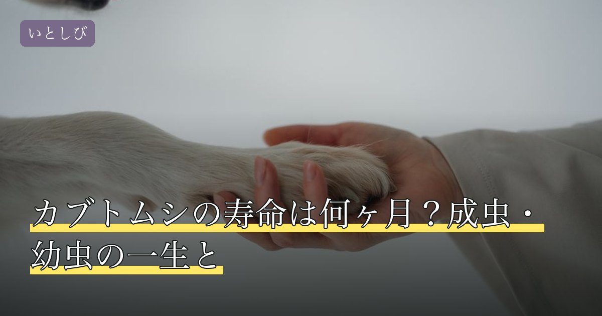 カブトムシの寿命は何ヶ月？成虫・幼虫の一生と
