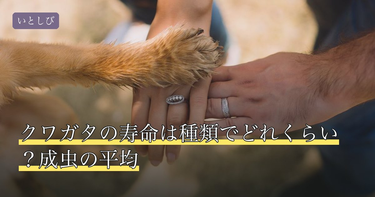 クワガタの寿命は種類でどれくらい？成虫の平均