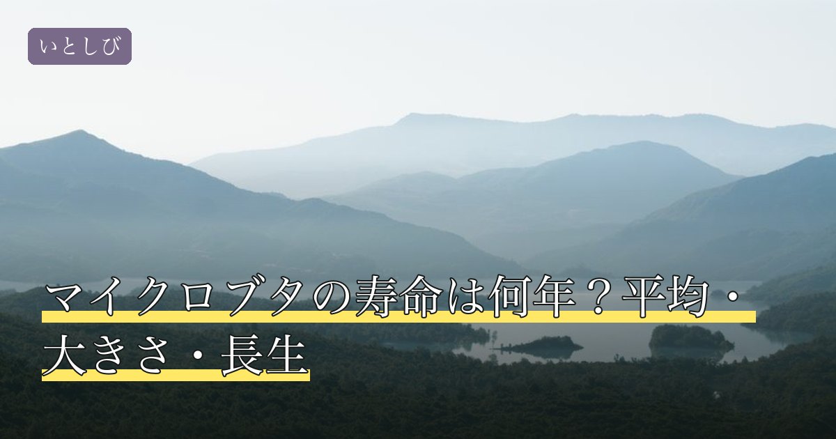 マイクロブタの寿命は何年？平均・大きさ・長生