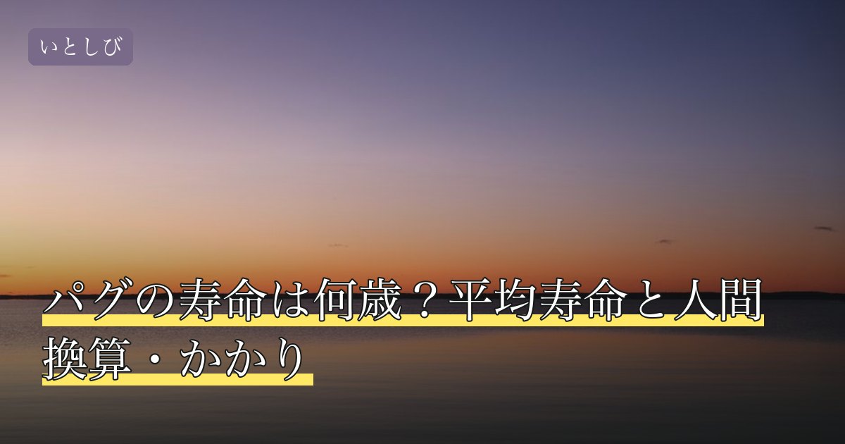 パグの寿命は何歳？平均寿命と人間換算・かかり