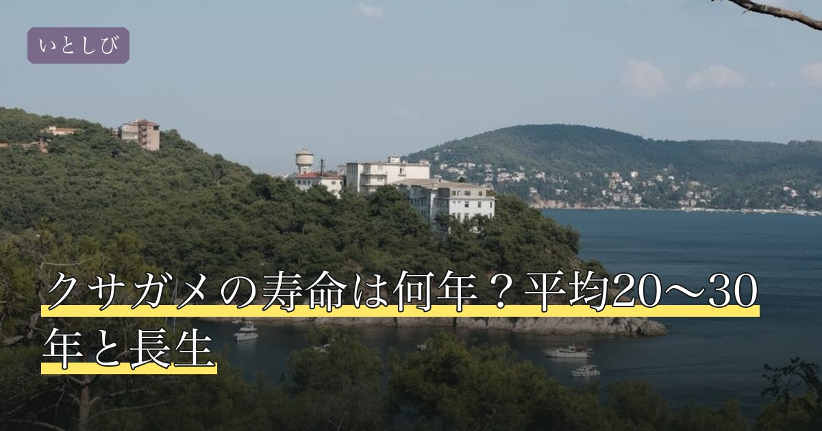 クサガメの寿命は何年？平均20〜30年と長生