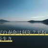 モモンガの寿命は何年？平均・人間換算・長生き