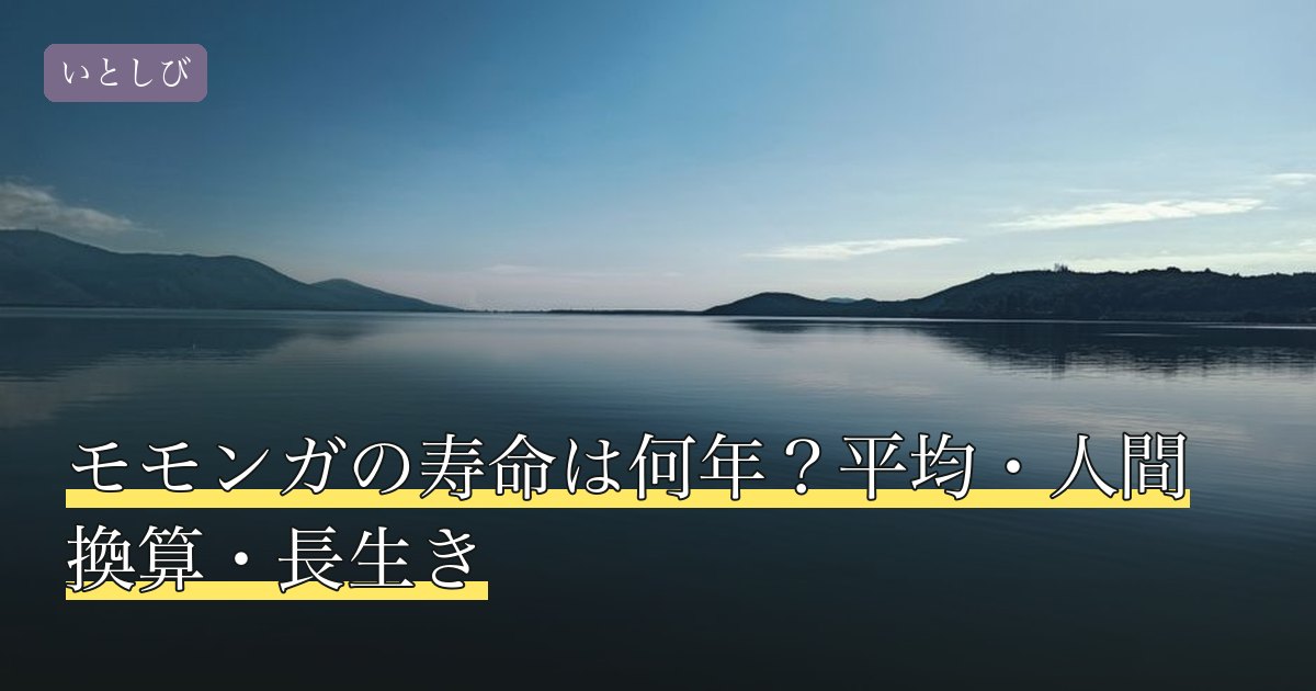 モモンガの寿命は何年？平均・人間換算・長生き
