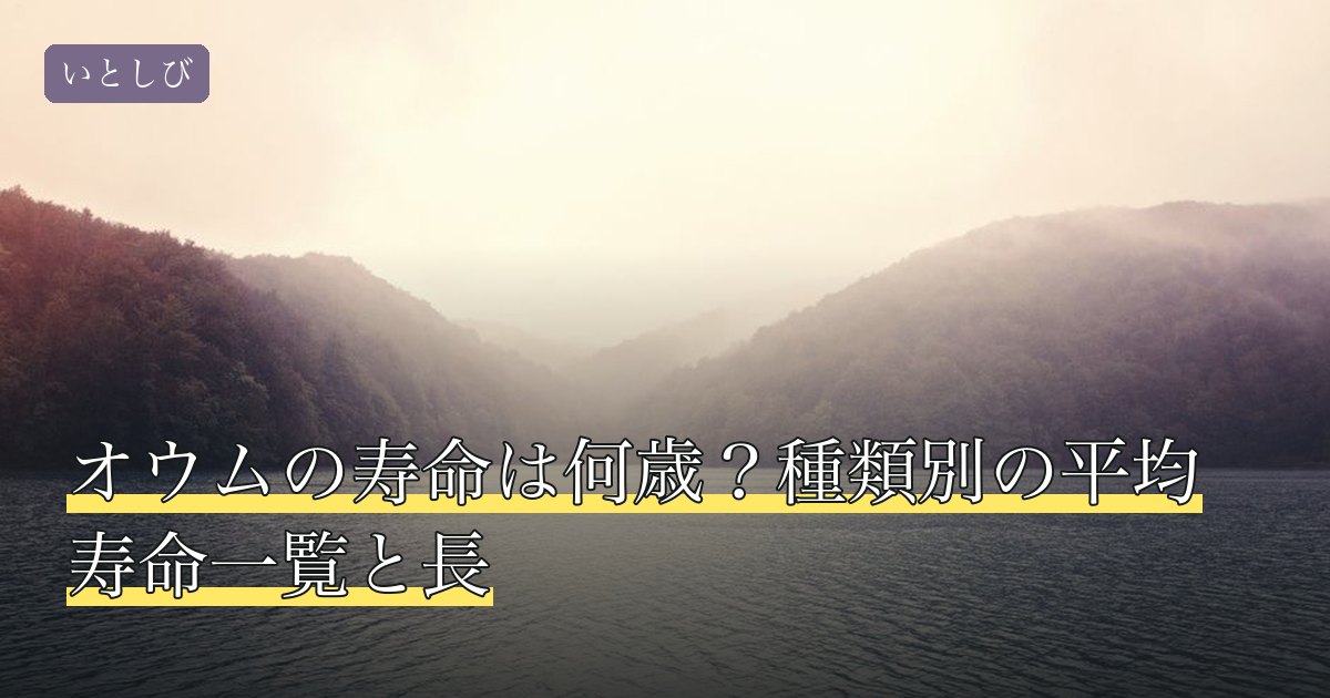オウムの寿命は何歳？種類別の平均寿命一覧と長