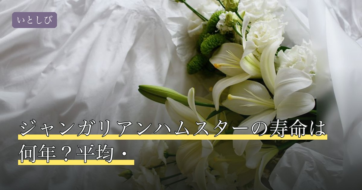 ジャンガリアンハムスターの寿命は何年？平均・