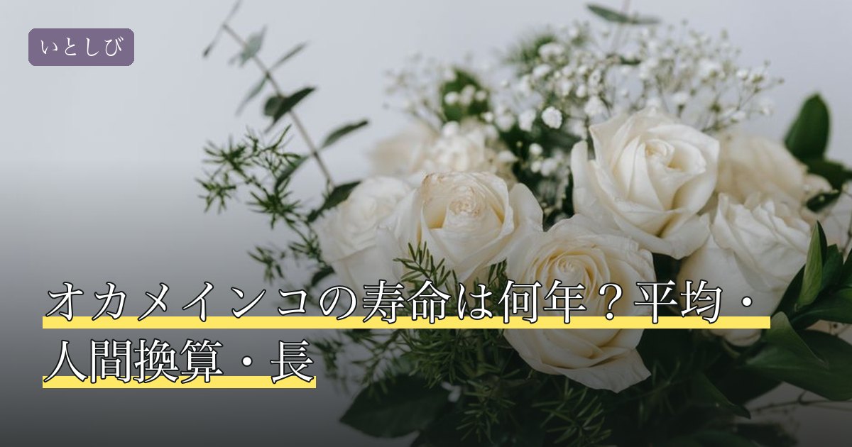 オカメインコの寿命は何年？平均・人間換算・長