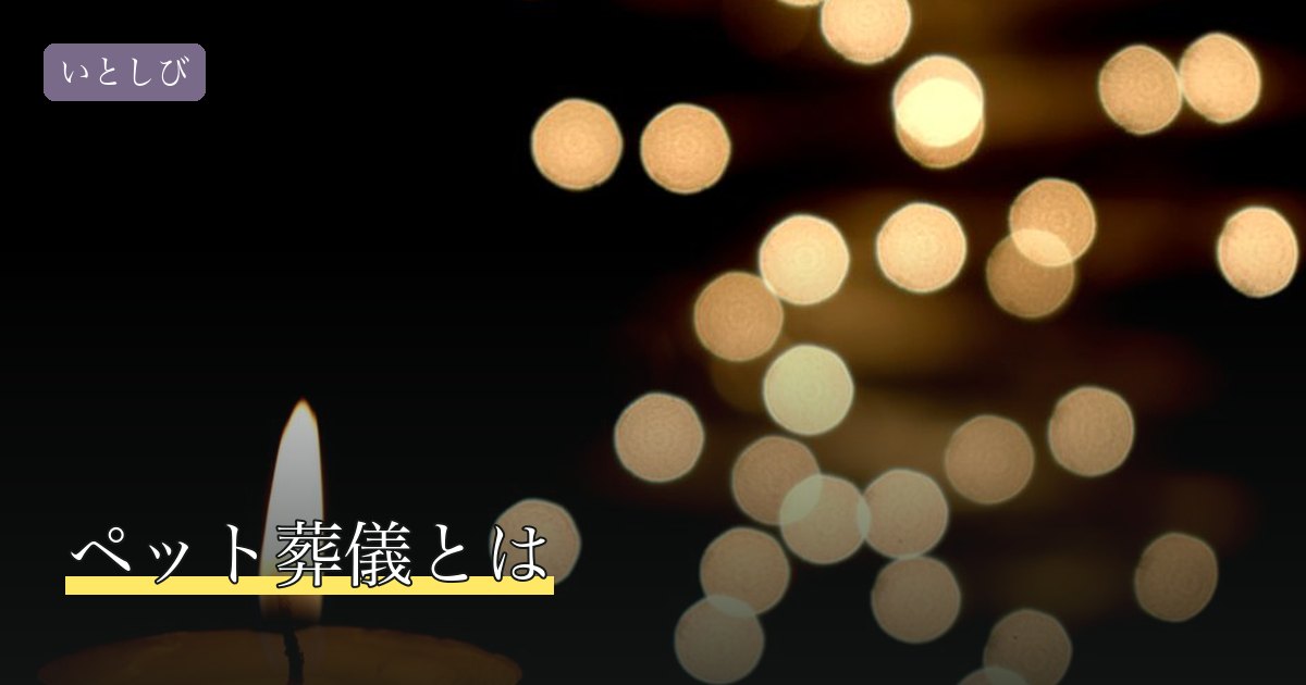 ペット葬儀とは