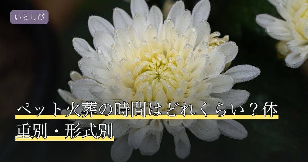 ペット火葬の時間はどれくらい？体重別・形式別