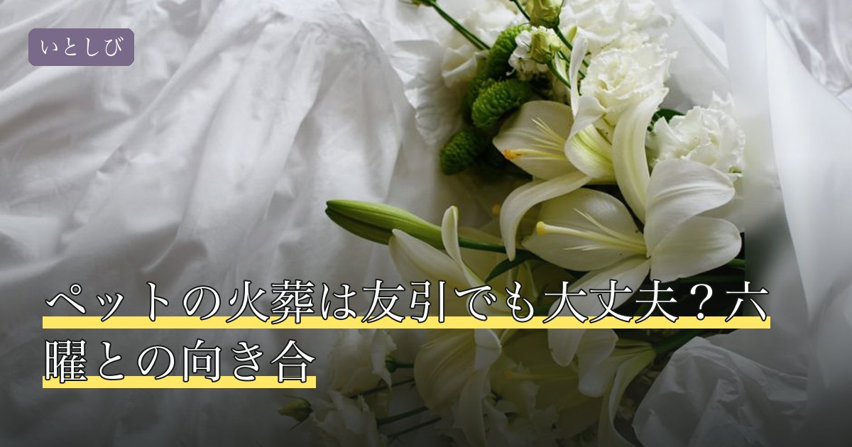 ペットの火葬は友引でも大丈夫？六曜との向き合
