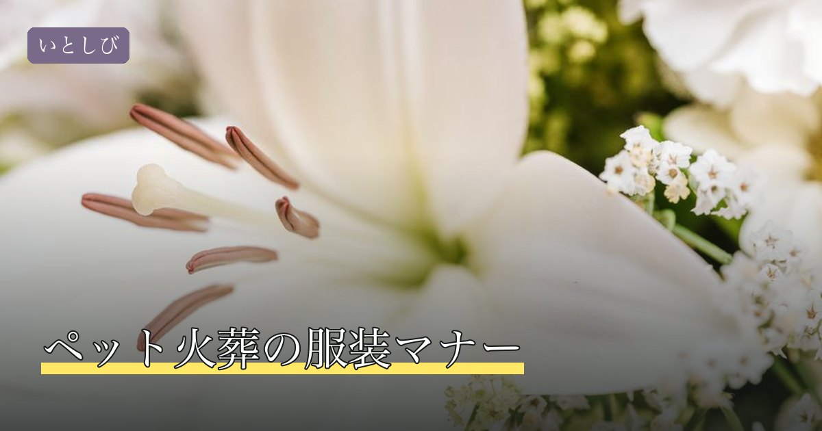 ペット火葬の服装マナー