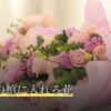 ペットの棺に入れる花