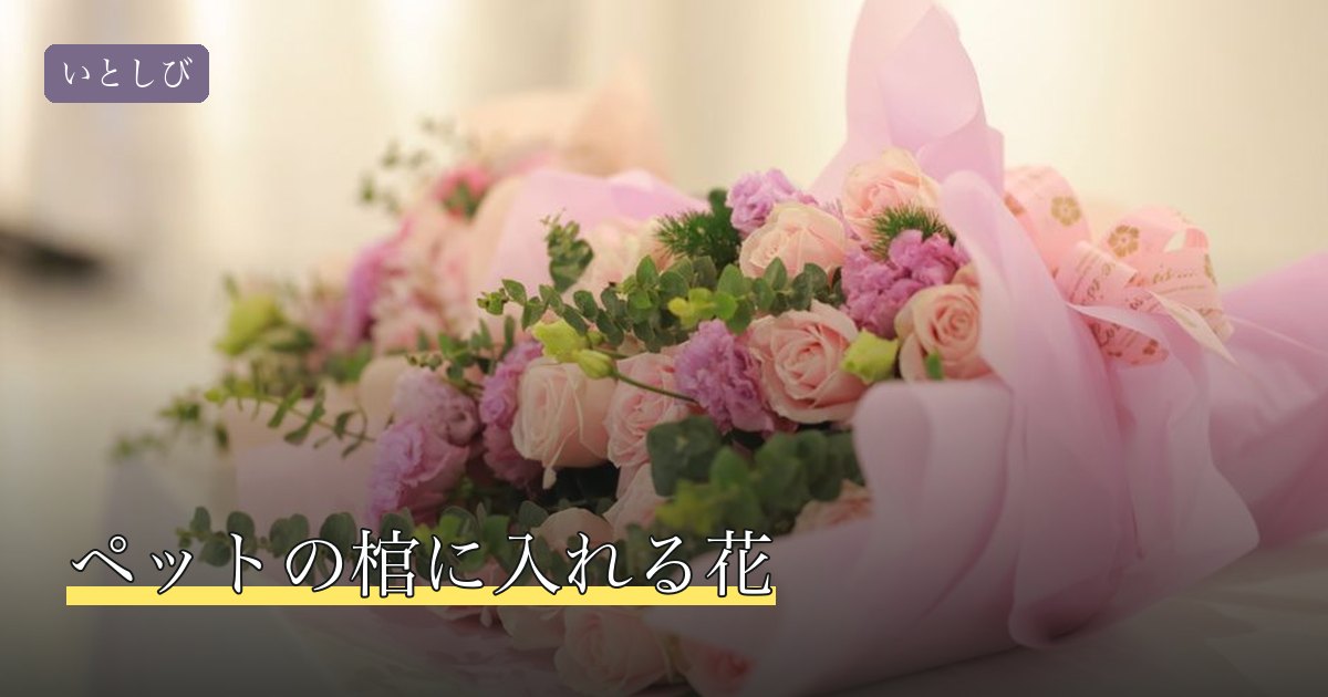 ペットの棺に入れる花