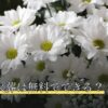 ペット火葬は無料でできる？