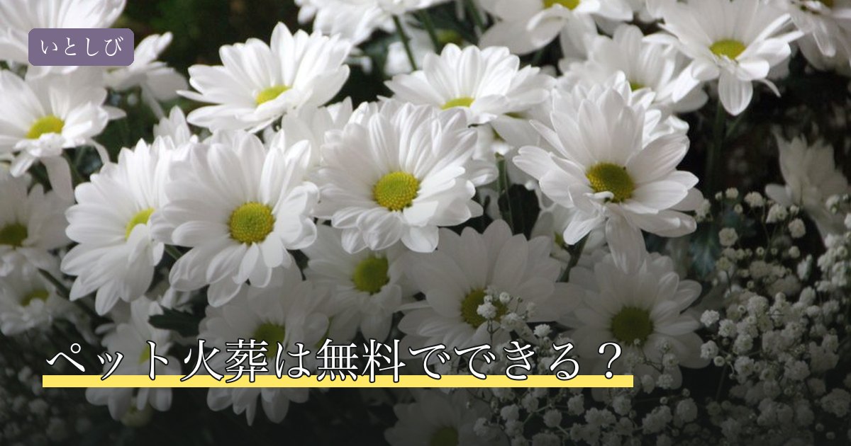 ペット火葬は無料でできる？