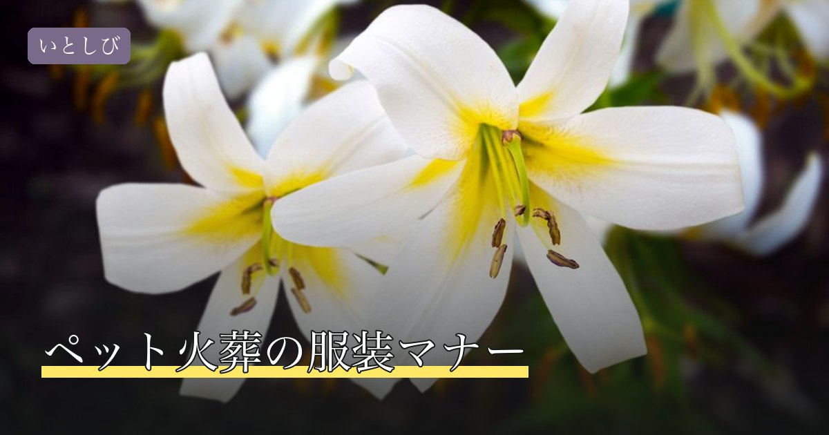 ペット火葬の服装マナー