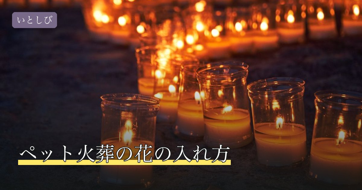 ペット火葬の花の入れ方