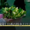 ペット葬儀110番の料金と口コミ