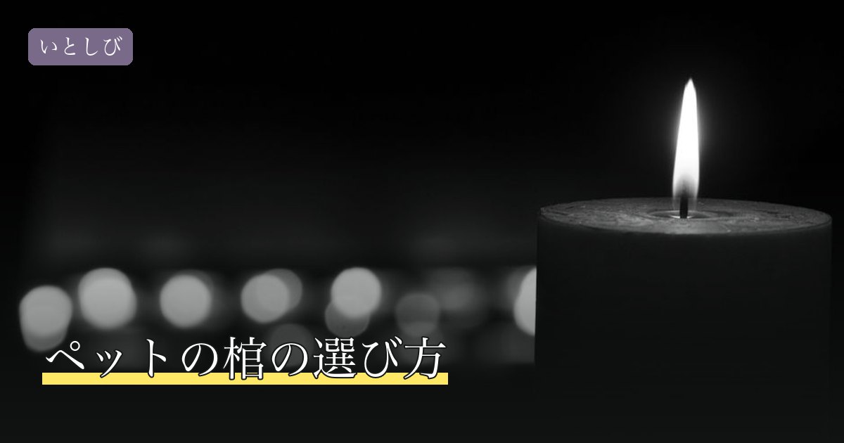 ペットの棺の選び方