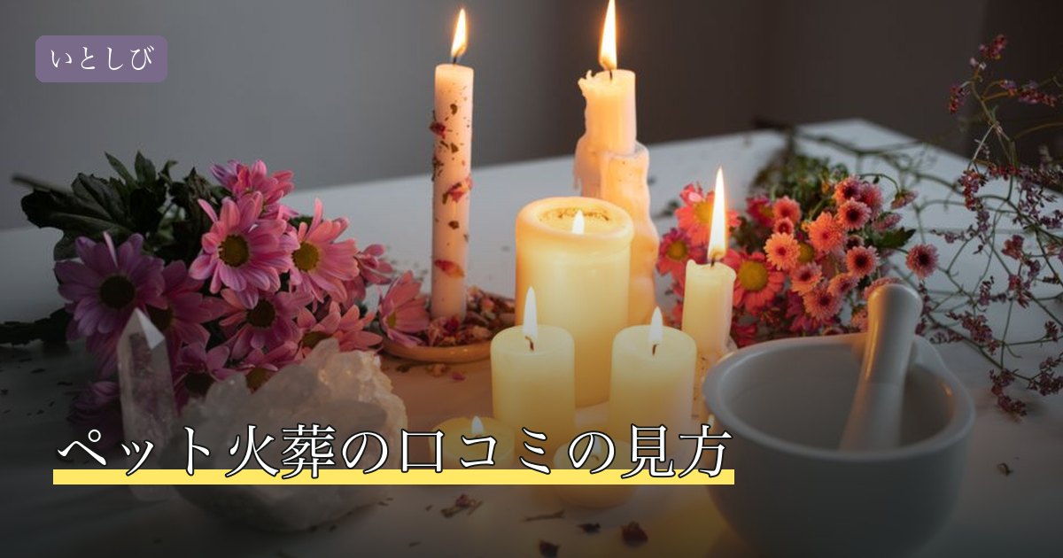 ペット火葬の口コミの見方