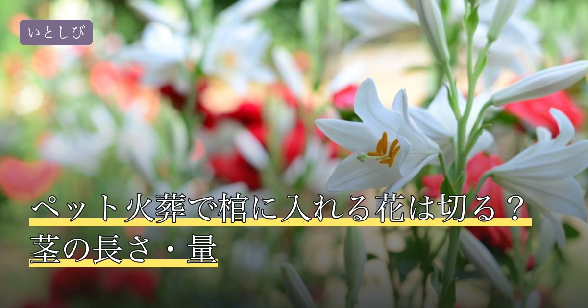 ペット火葬で棺に入れる花は切る？茎の長さ・量