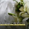 火葬で骨を綺麗に残すには