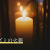 ハリネズミの火葬