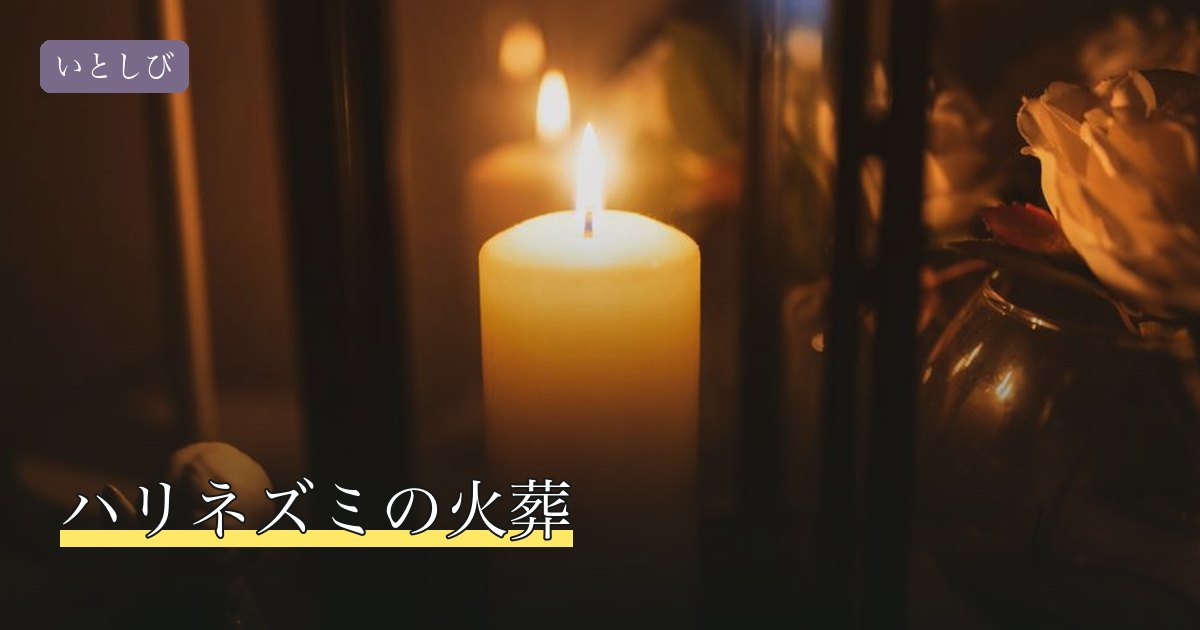 ハリネズミの火葬