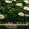 ハムスターの葬儀・見送り方