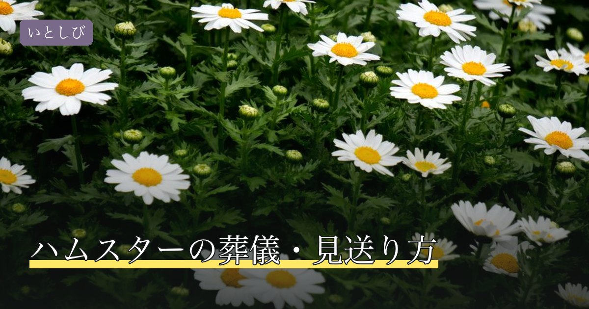 ハムスターの葬儀・見送り方