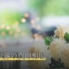 ペット火葬の費用相場