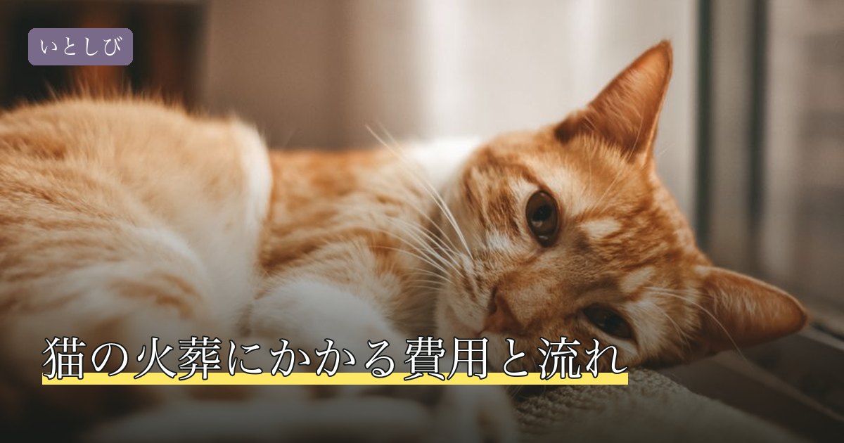 猫の火葬にかかる費用と流れ