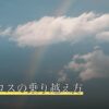 ペットロスの乗り越え方