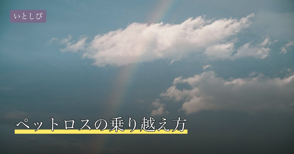 ペットロスの乗り越え方