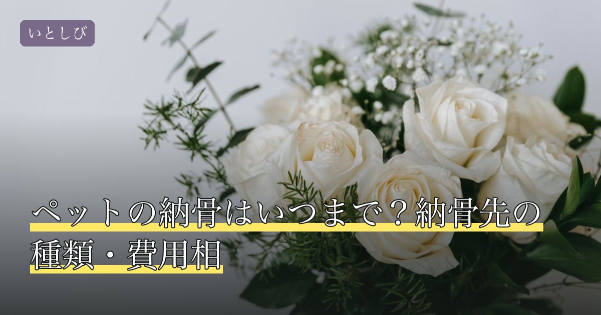 ペットの納骨はいつまで？納骨先の種類・費用相