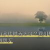ペットの永代供養とは？費用相場と合祀・個別安