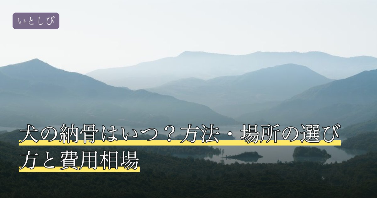 犬の納骨はいつ？方法・場所の選び方と費用相場