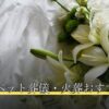 東京のペット葬儀・火葬おすすめ7選
