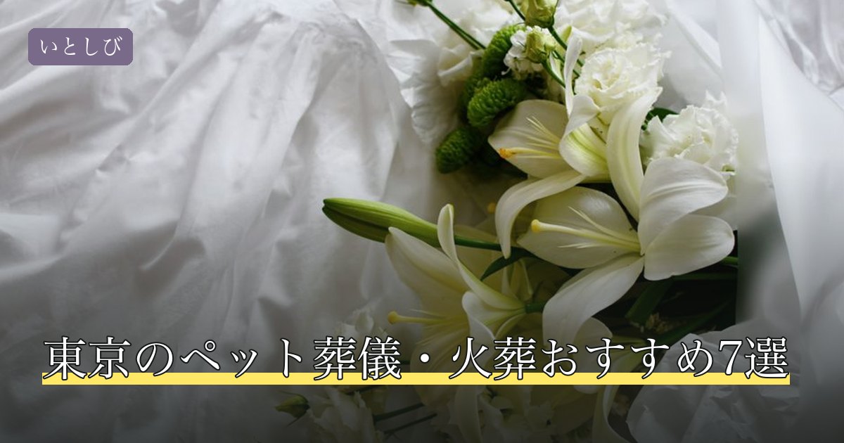 東京のペット葬儀・火葬おすすめ7選
